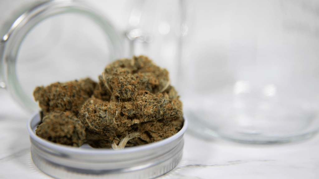 Cannabis Legalization in South America: A Country-by-Country Overview